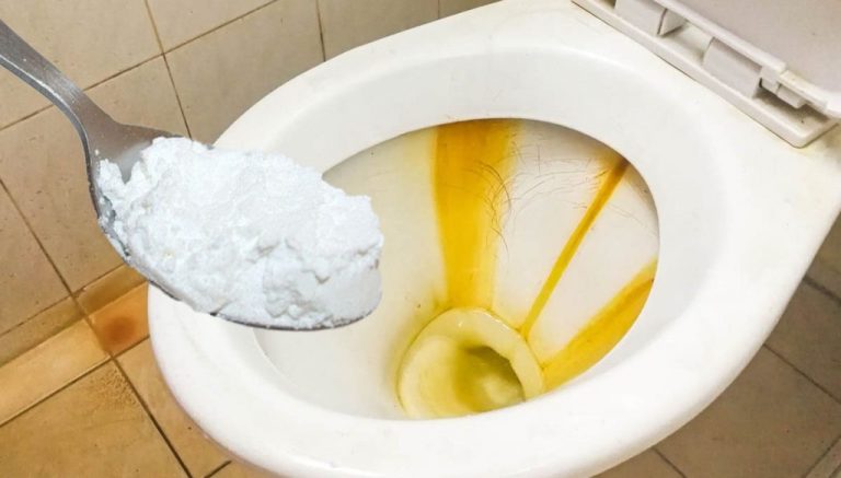 Как убрать желтую полоску в унитазе без дорогой химии: секрет опытных хозяек