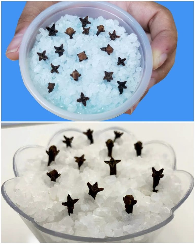 Все удивляются, почему у меня дома пахнет так дорого. Рассказываю, как делаю «дорогой» ароматизатор за копейки