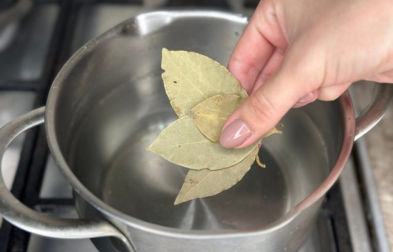 Армянка показала 5 хитростей с лавровым листом: у нас так никто не делает. Делюсь находкой