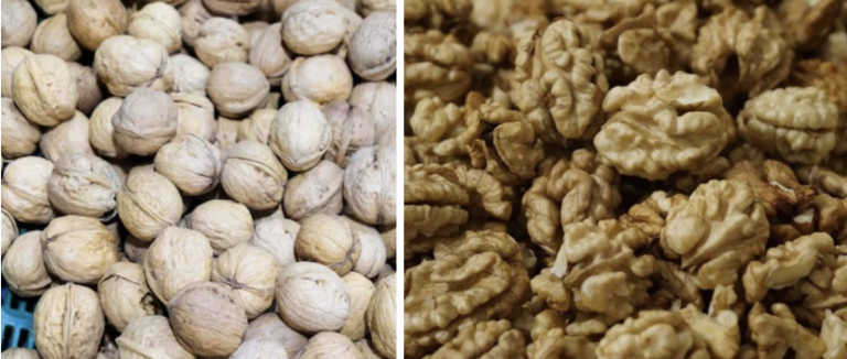 Теперь знаю, как скупщики грецких орехов чистят их от скорлупы, чтобы орех оставался целым