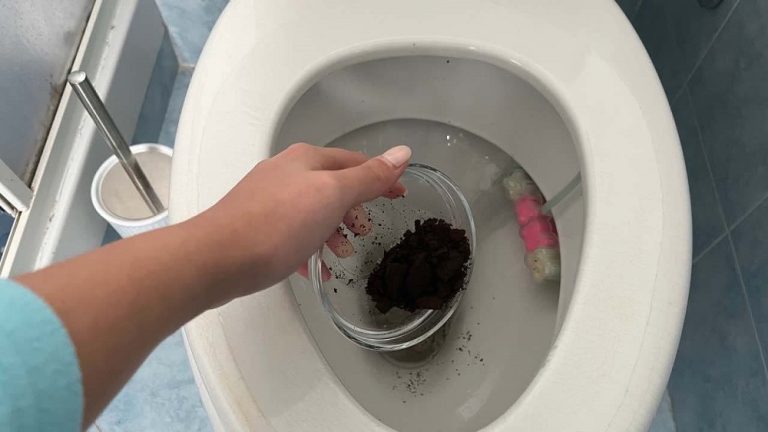 И сантехник не нужен. Для чего опытные хозяйки в унитаз засыпают кофейную гущу