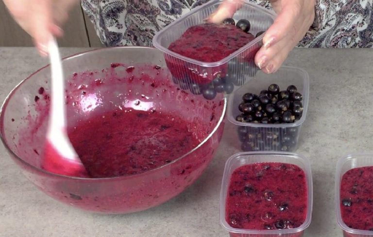 Черную смородину едим всю осень, зиму и весну, а ягоды как свежие: смородина в муссе, ну очень вкусно и полезно