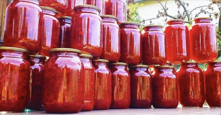 Борщ на зиму за 15 минут. Уже 100 банок закрыла и еще столько же закрою