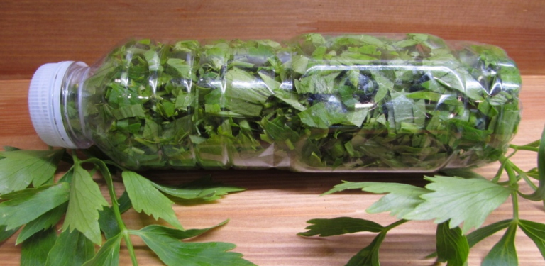 Универсальный способ заморозки зелени на зиму — никаких кристаллов льда и неприятных запахов