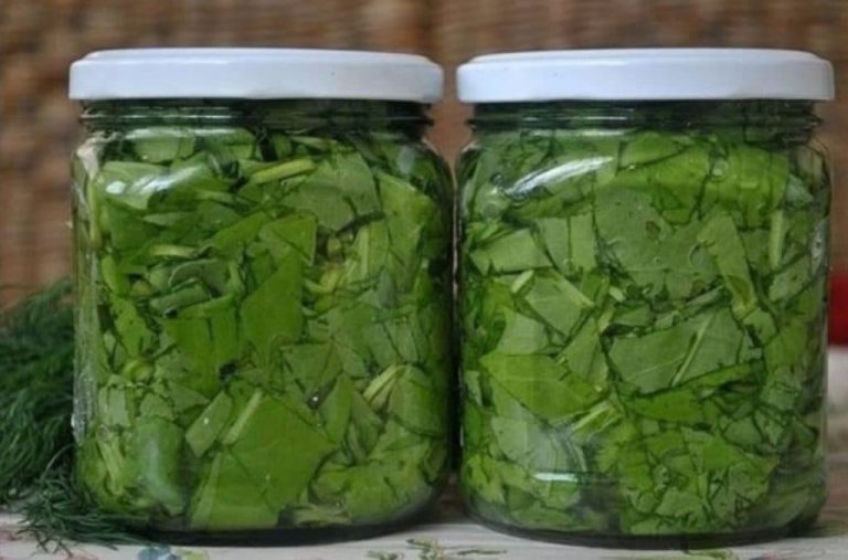 Всю зиму зелень как свежая, стоит только залить холодной водой и все