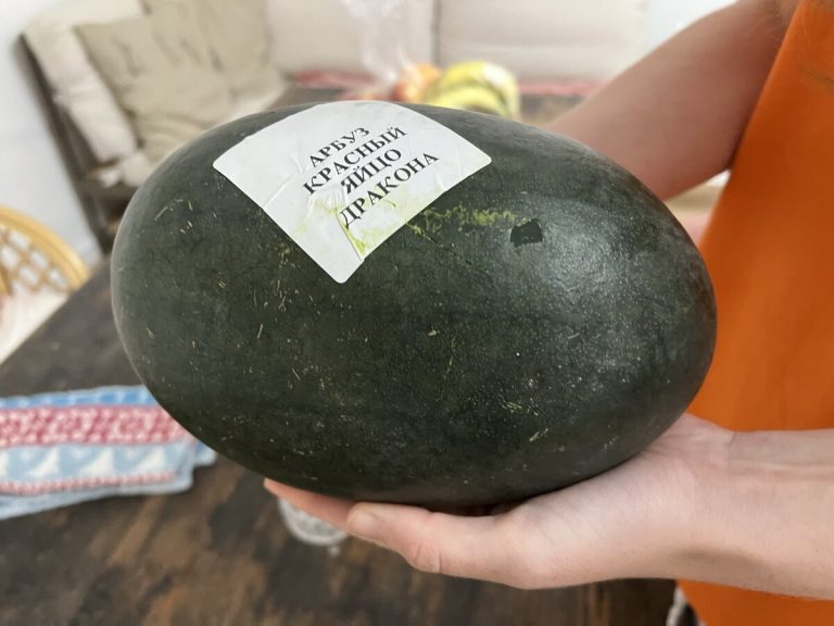 Купила необычный арбуз — «яйцо дракона». Показываю, что оказалось у него внутри (не ожидала, если честно)